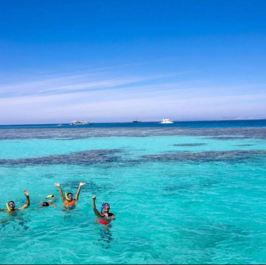 Mahmya island 🏝️🏖️ trip El Gouna Mahmya island /IMG-20260701-WA0174.jpg